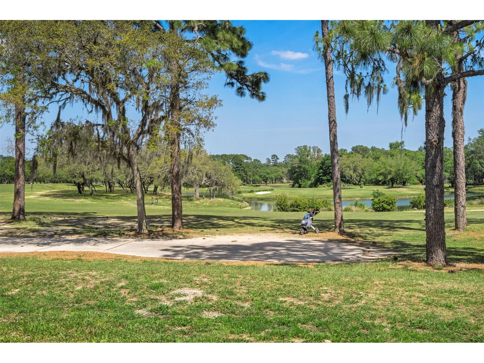 102 Whitewood Street Homosassa FL 34446 TB8500475 image75