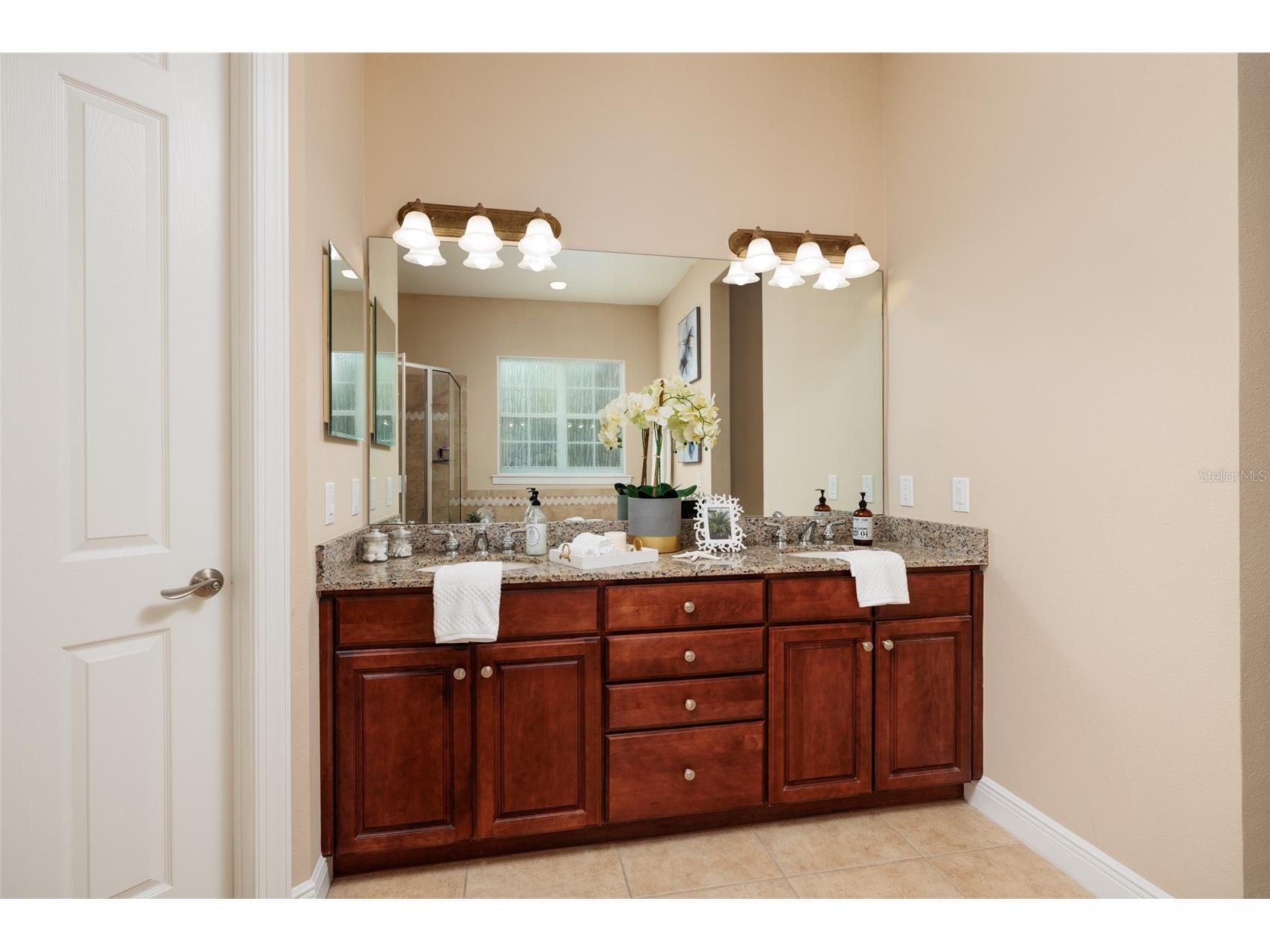 102 Wimbledon Court Redington Shores FL 33708 TB8460642 image18