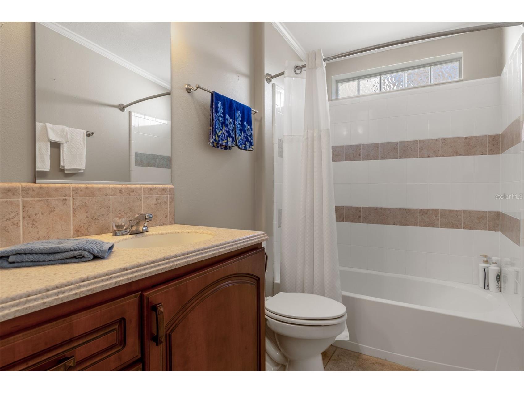 102 Woody Court Wildwood FL 34785 TB8469704 image37