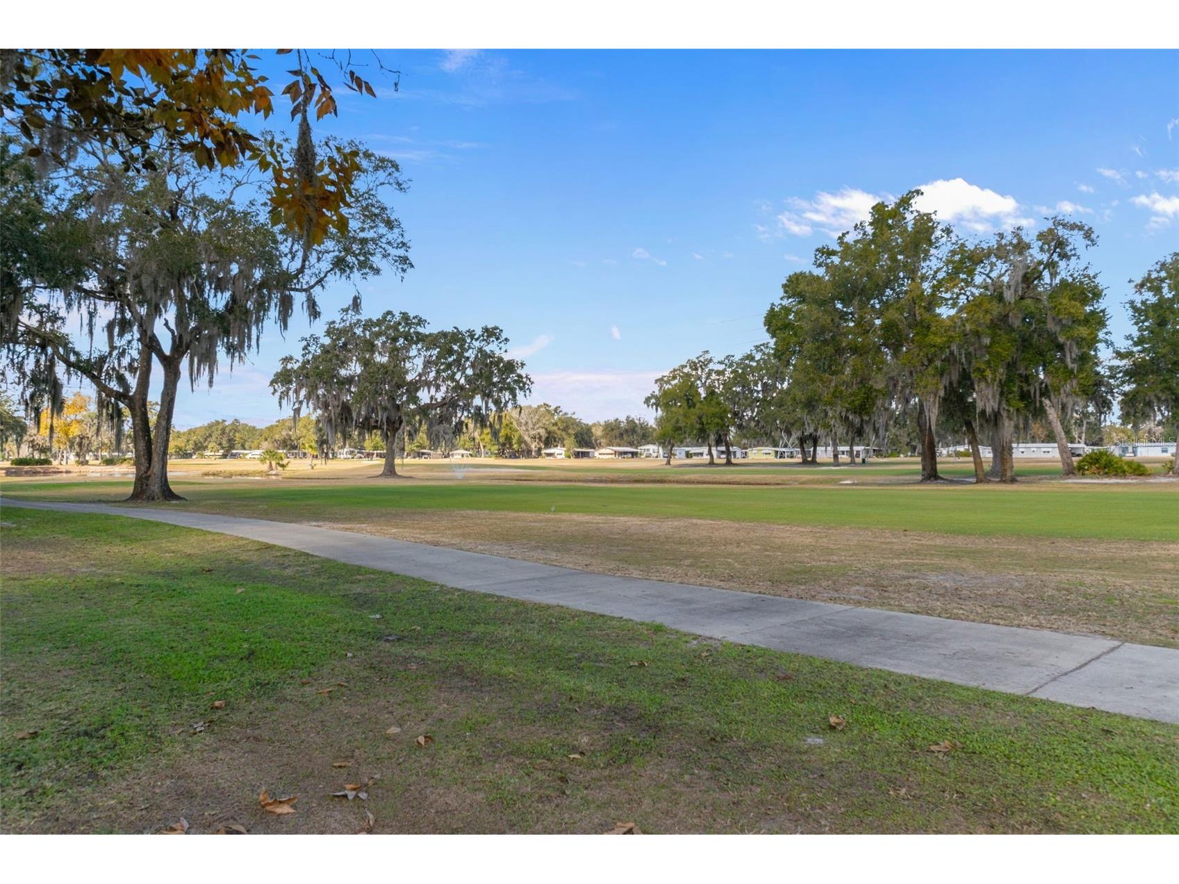 102 Woody Court Wildwood FL 34785 TB8469704 image52