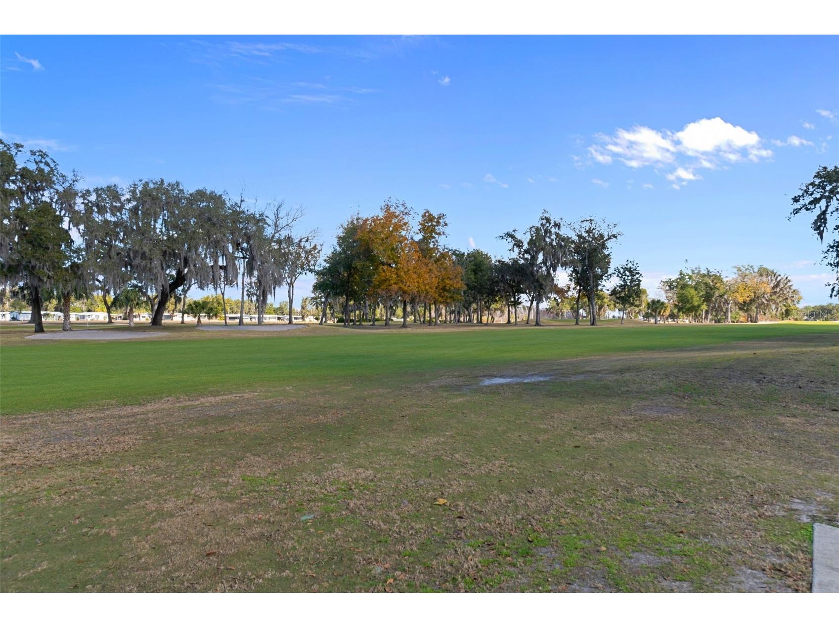 102 Woody Court Wildwood FL 34785 TB8469704 image53