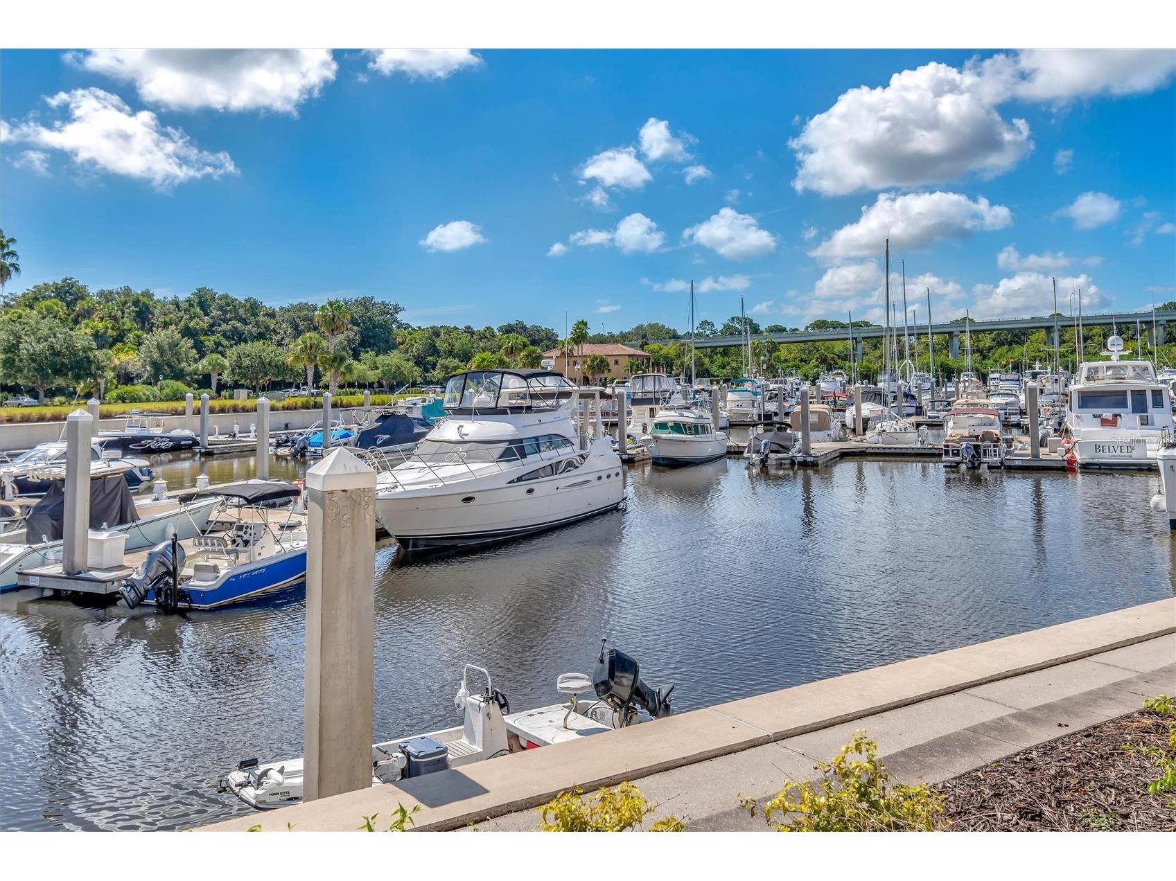 102 Yacht Harbor Drive #263 Palm Coast FL 32137 - INTRACOASTAL WATERWAY FC309853 image29