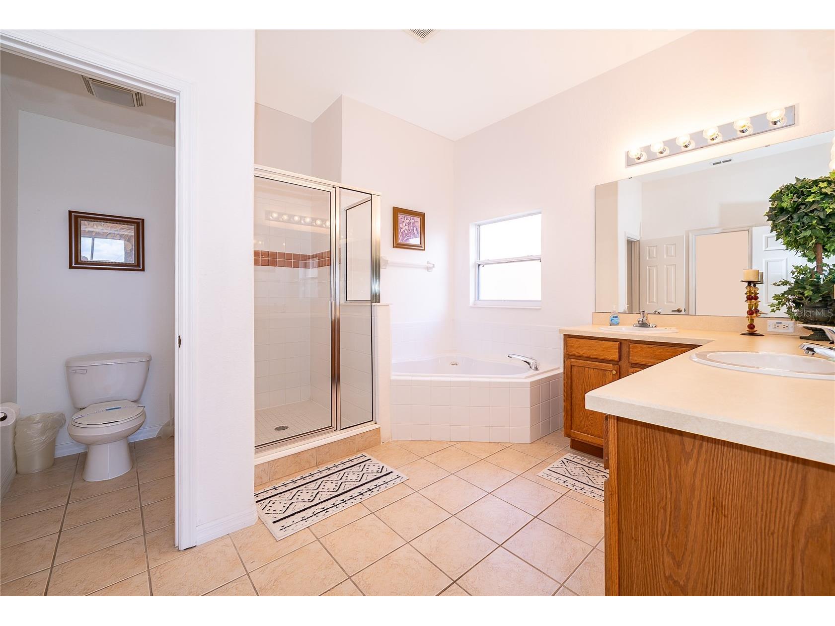 1020 Andalusia Loop Davenport FL 33837 S5149940 image21