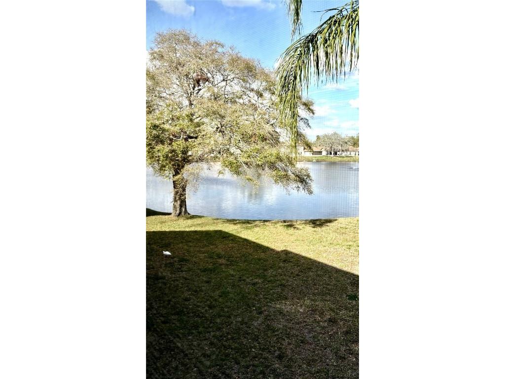 1020 Bowsprit Lane #X Holiday FL 34691 TB8356969 image1