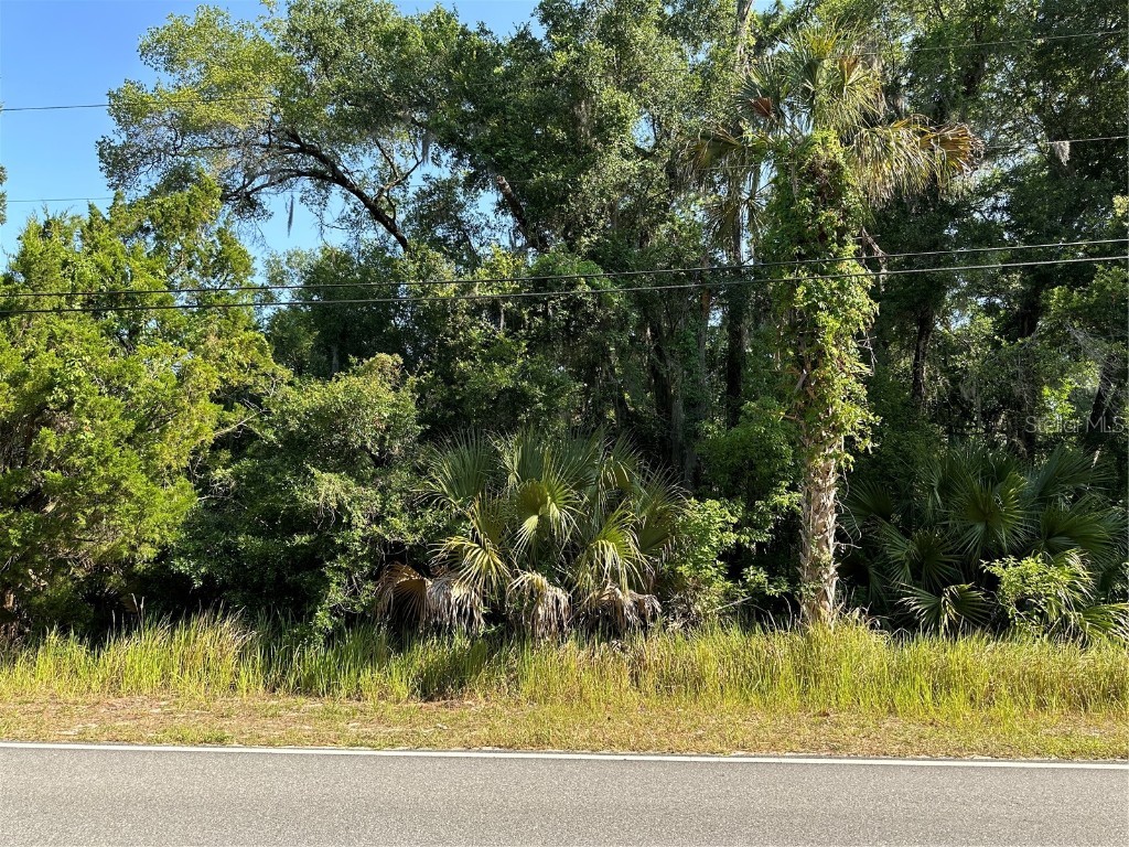1020 Deerfoot Road Deland FL 32720 V4936188 image1