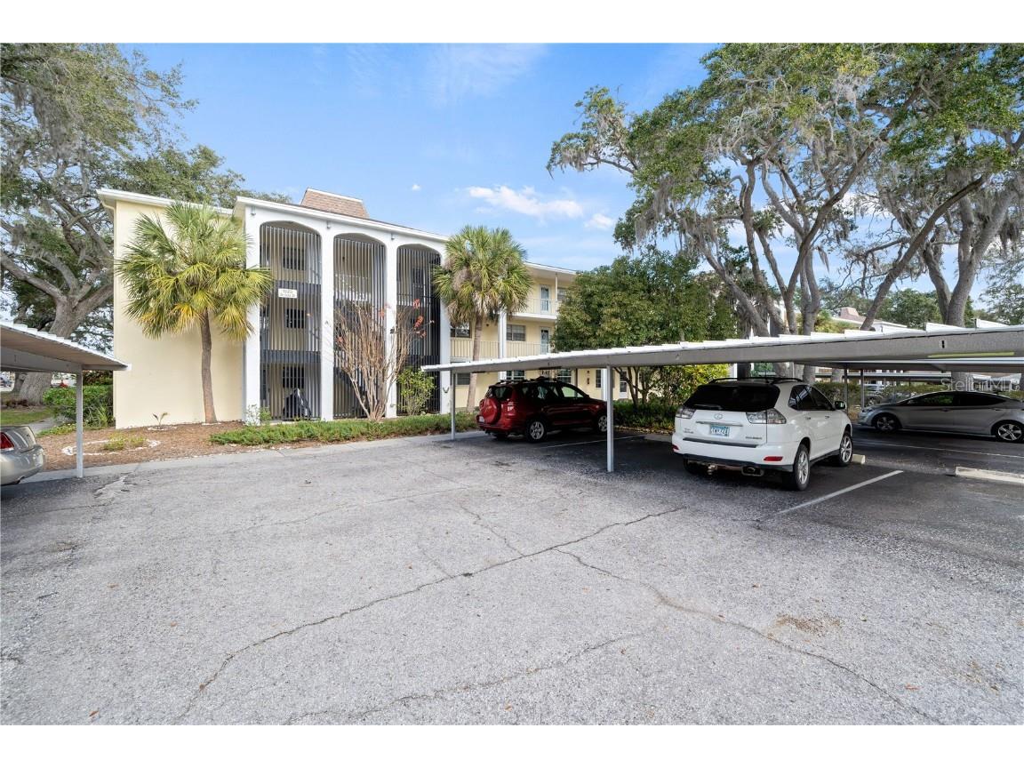 1020 Deleon Drive #201 Dunedin FL 34698 W7852833 image1
