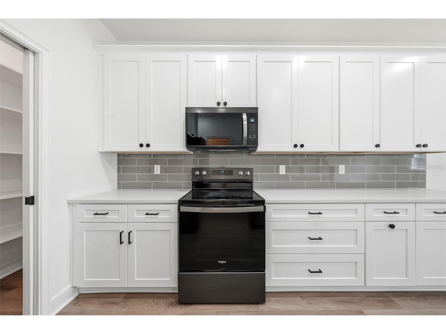 1020 Farmstead Street Eustis FL 32736 S5151087 image15