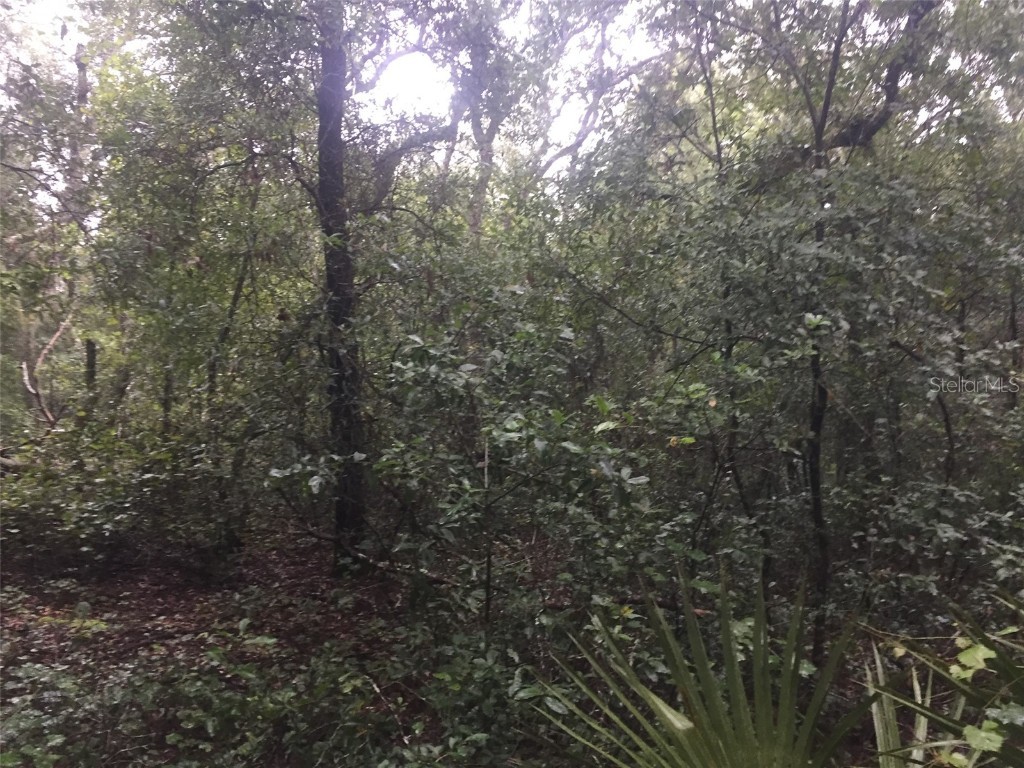 1020 Matanzas Street Lake Helen FL 32744 V4921472 image1