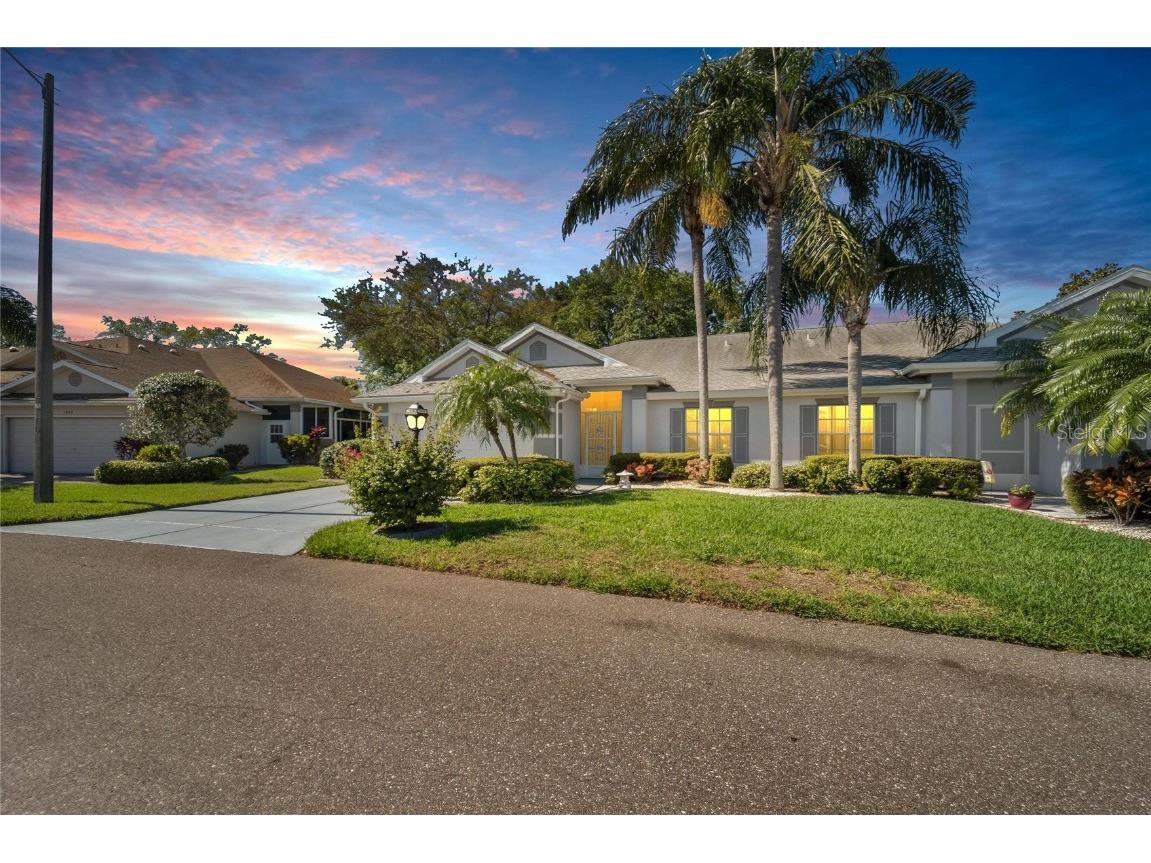 1020 Mcdaniel Street Sun City Center FL 33573 T3512582 image1