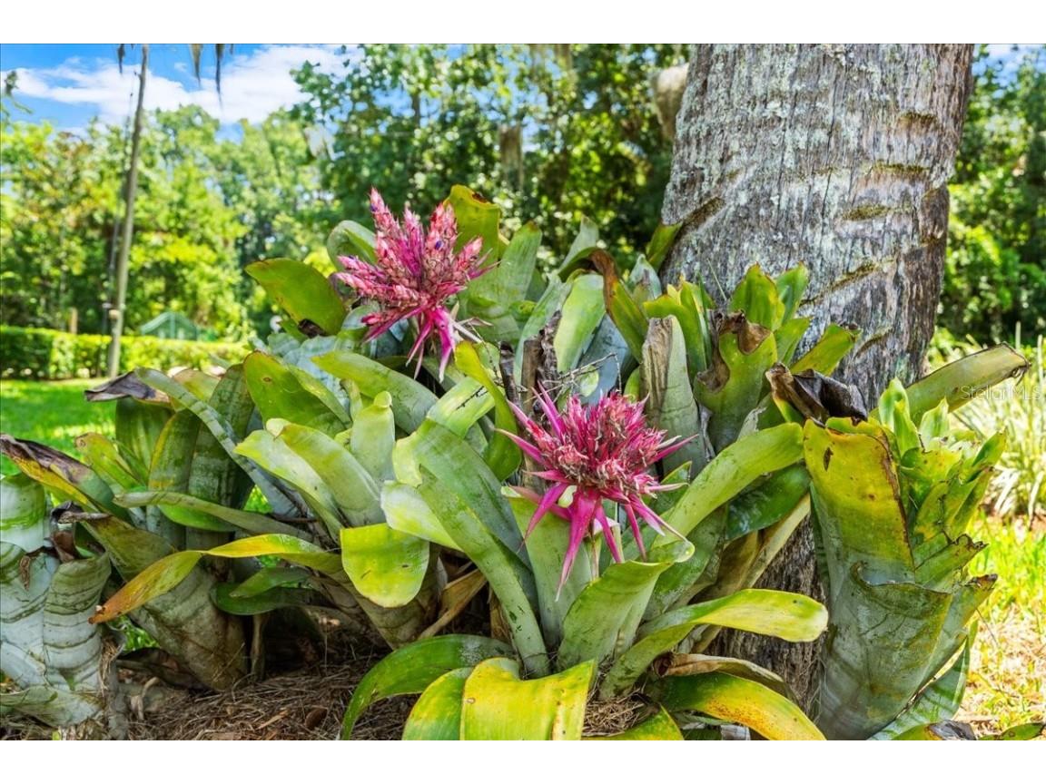 1020 Old Big Tree Road Daytona Beach FL 32119 V4944821 image25