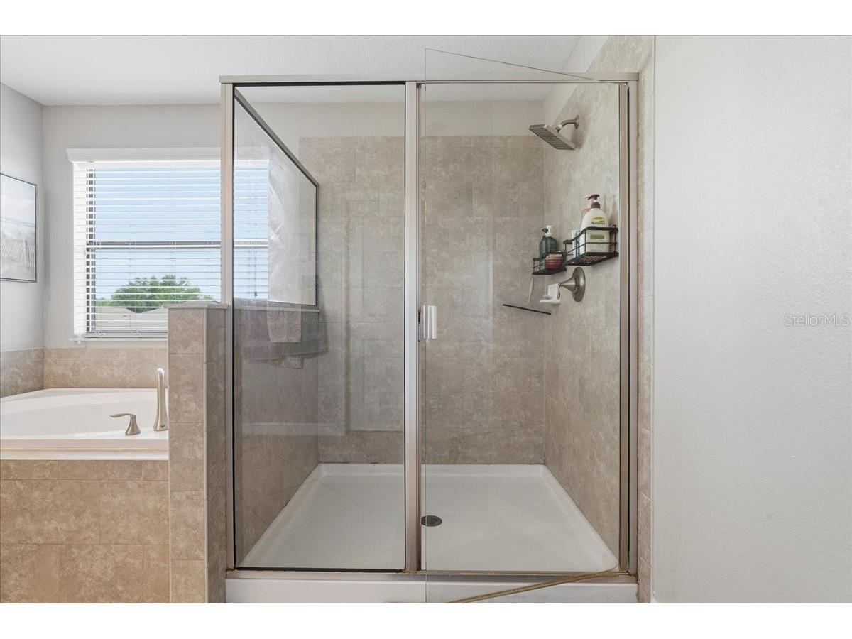 1020 Oliveto Verdi Court Brandon FL 33511 TB8506095 image24