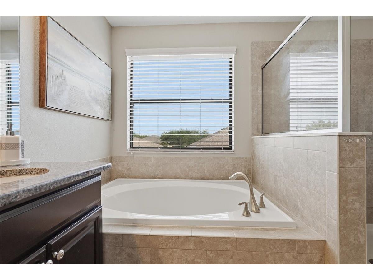 1020 Oliveto Verdi Court Brandon FL 33511 TB8506095 image25