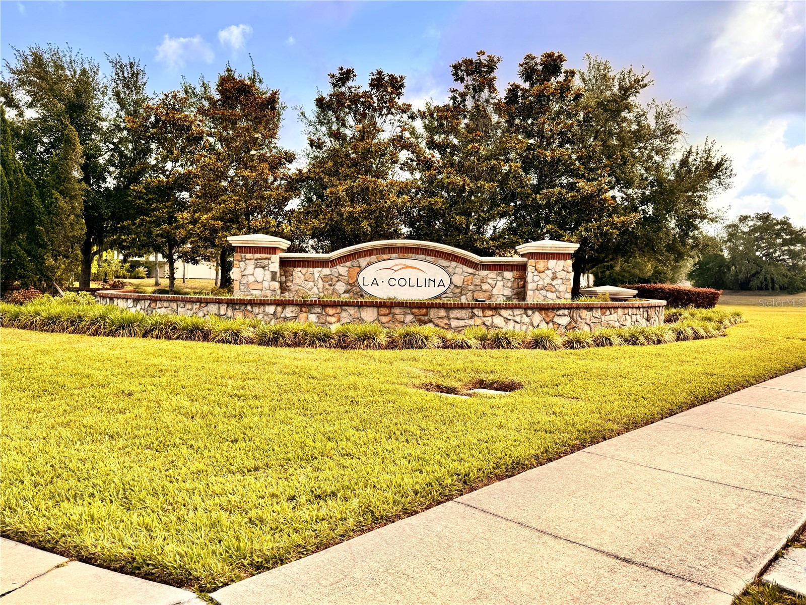 1020 Oliveto Verdi Court Brandon FL 33511 TB8506095 image61
