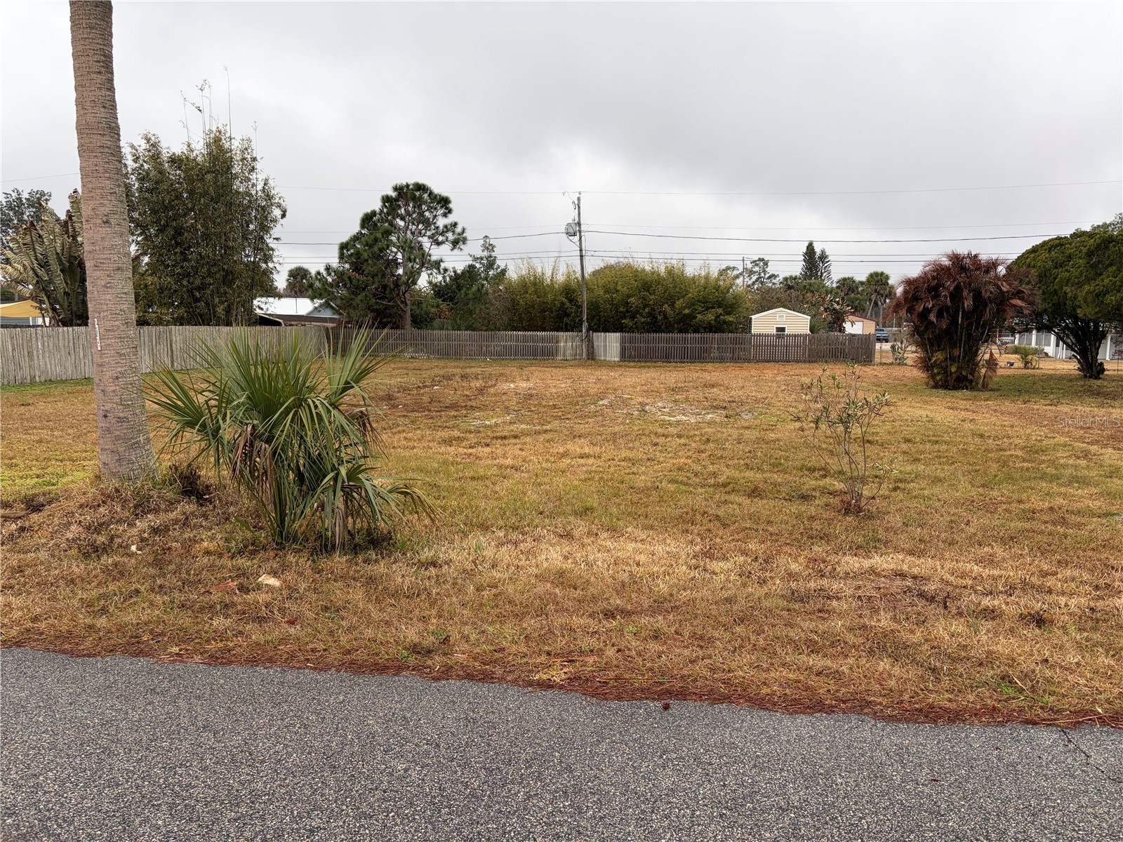 1020 Ruth Drive Edgewater FL 32132 O6381319 image2