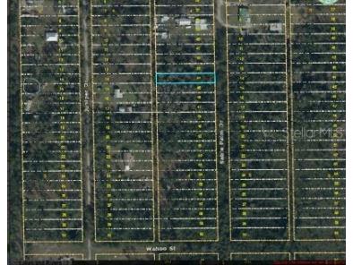 1020 Sable Palm Drive Christmas FL 32709 O6253695 image2