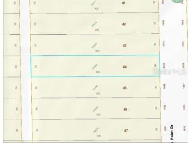 1020 Sable Palm Drive Christmas FL 32709 O6253695 image3