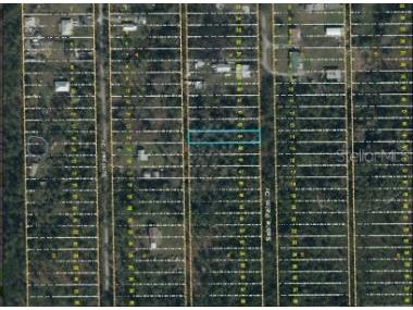 1020 Sable Palm Drive Christmas FL 32709 O6253695 image4