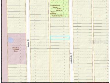 1020 Sable Palm Drive Christmas FL 32709 O6253695 image5