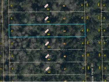 1020 Sable Palm Drive Christmas FL 32709 O6253695 image6