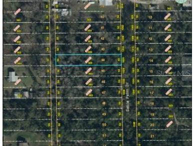 1020 Sable Palm Drive Christmas FL 32709 O6253695 image7