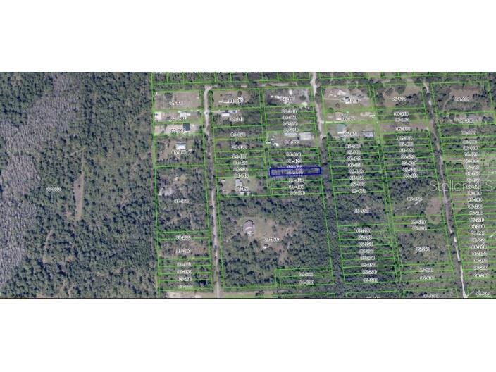 1020 Sable Palm Drive Christmas FL 32709 O6253695 image8