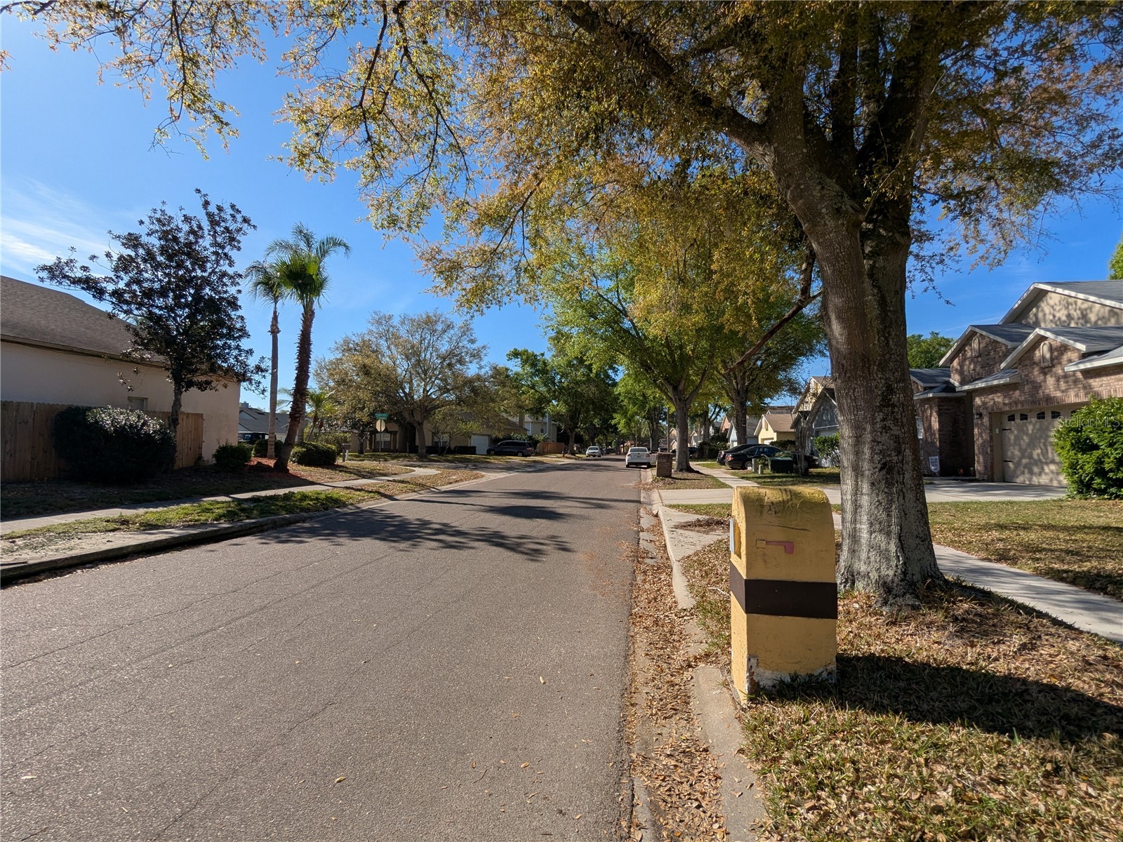 1020 Stonechapel Court Apopka FL 32712 O6393102 image42