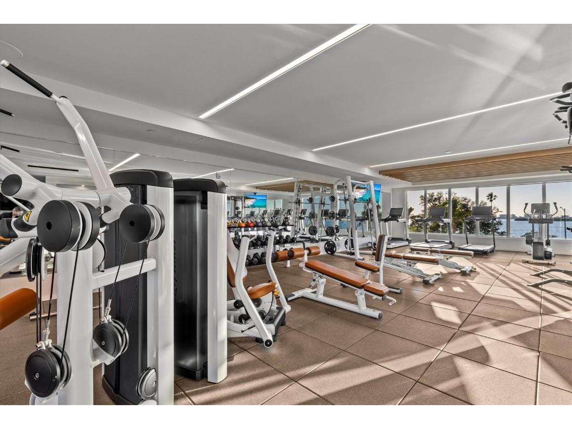 1020 Sunset Point Road #703 Clearwater FL 33755 TB8460720 image42