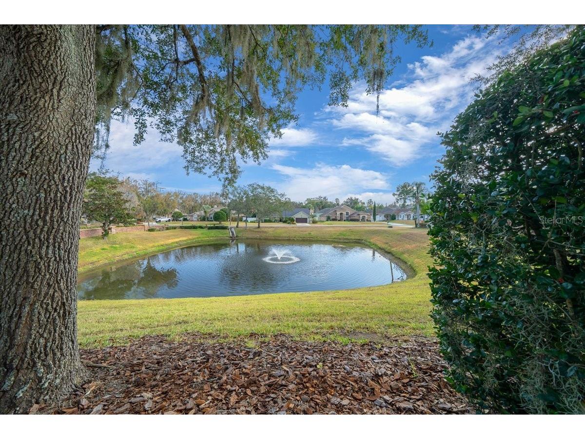 1020 SW 32nd Lane Ocala FL 34471 OM715679 image63