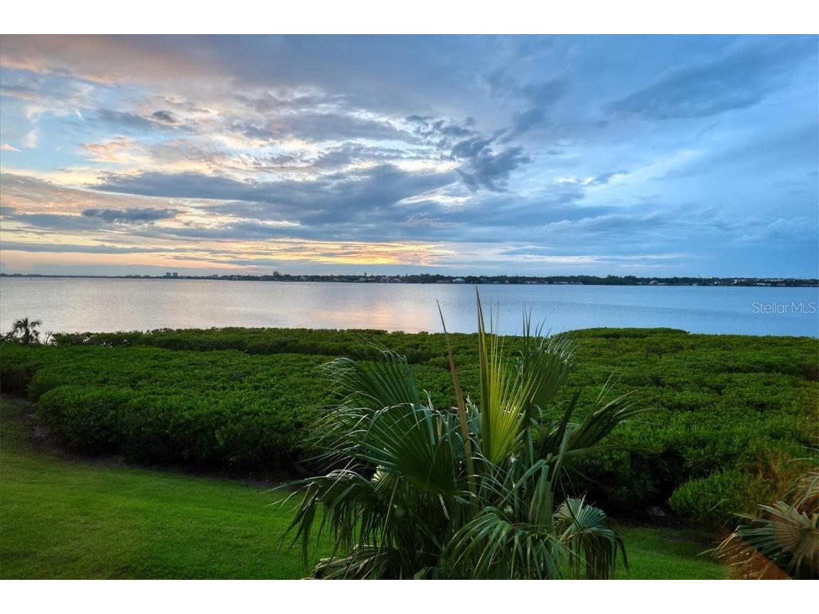 1020 Tidewater Shores Loop #204 Bradenton FL 34208 - MANATEE RIVER A4571619 image1