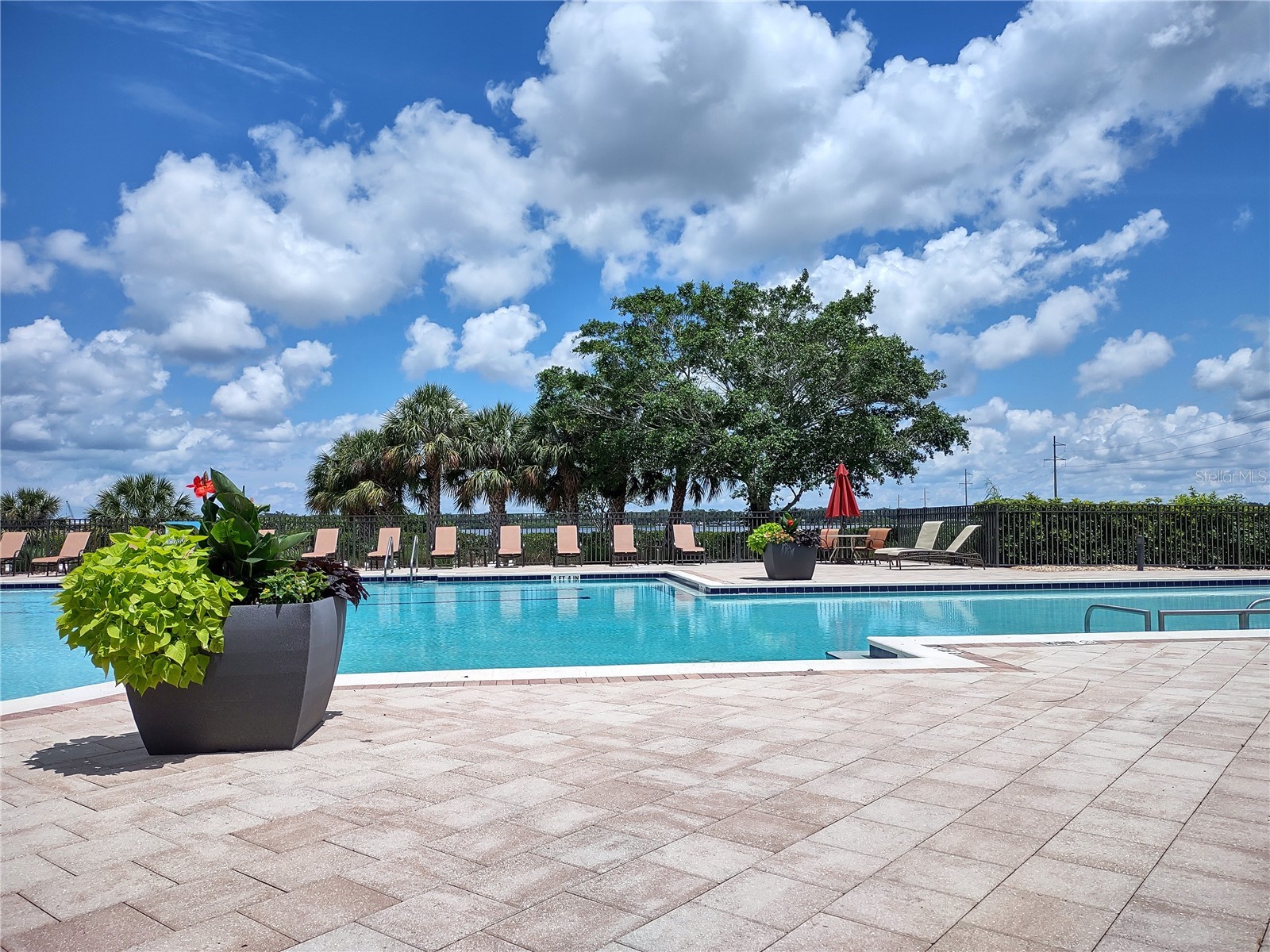 1020 Tidewater Shores Loop #301 Bradenton FL 34208 - MANATEE TB8501173 image40