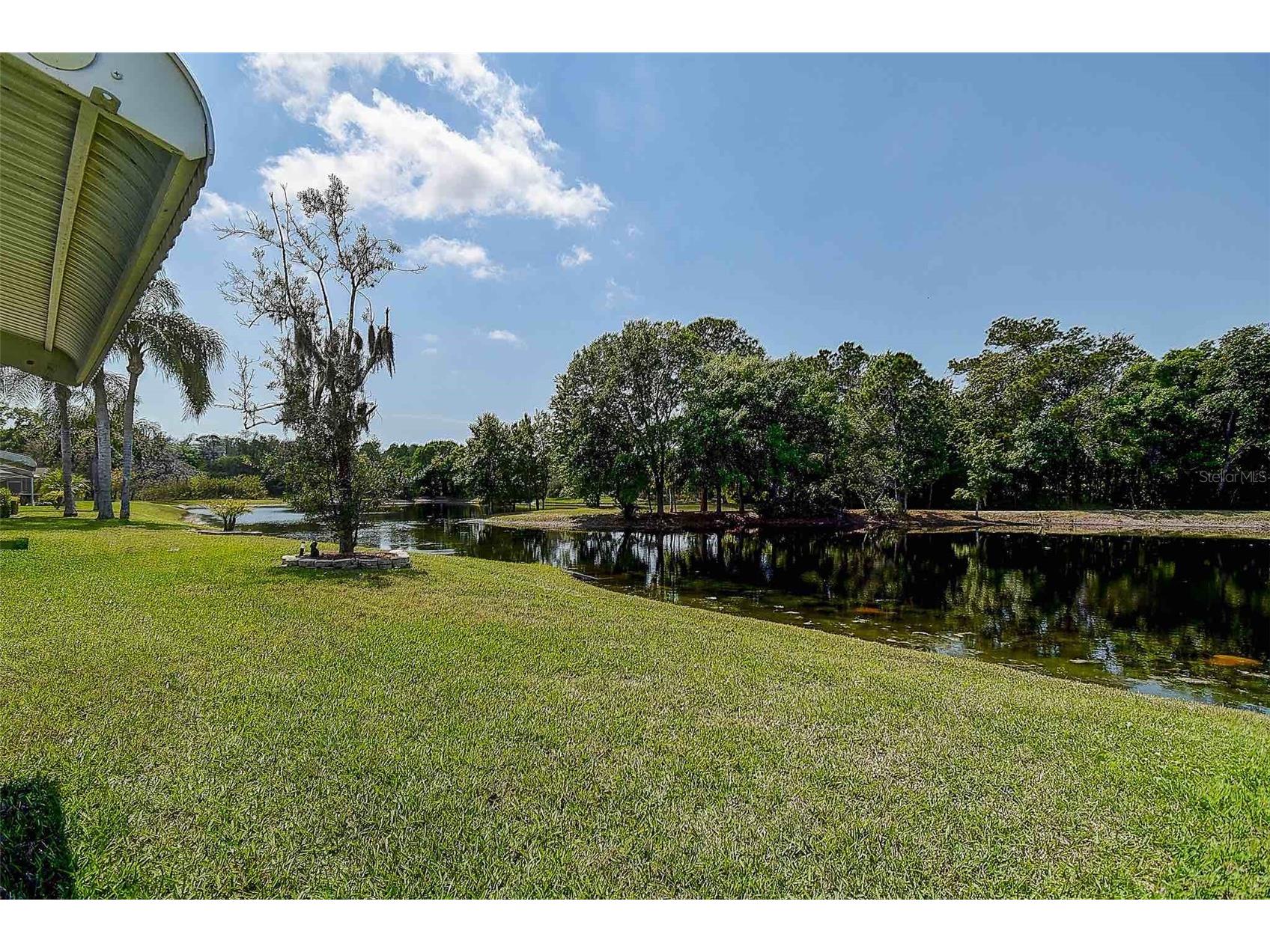 1020 Trafalgar Drive New Port Richey FL 34655 TB8490357 image36