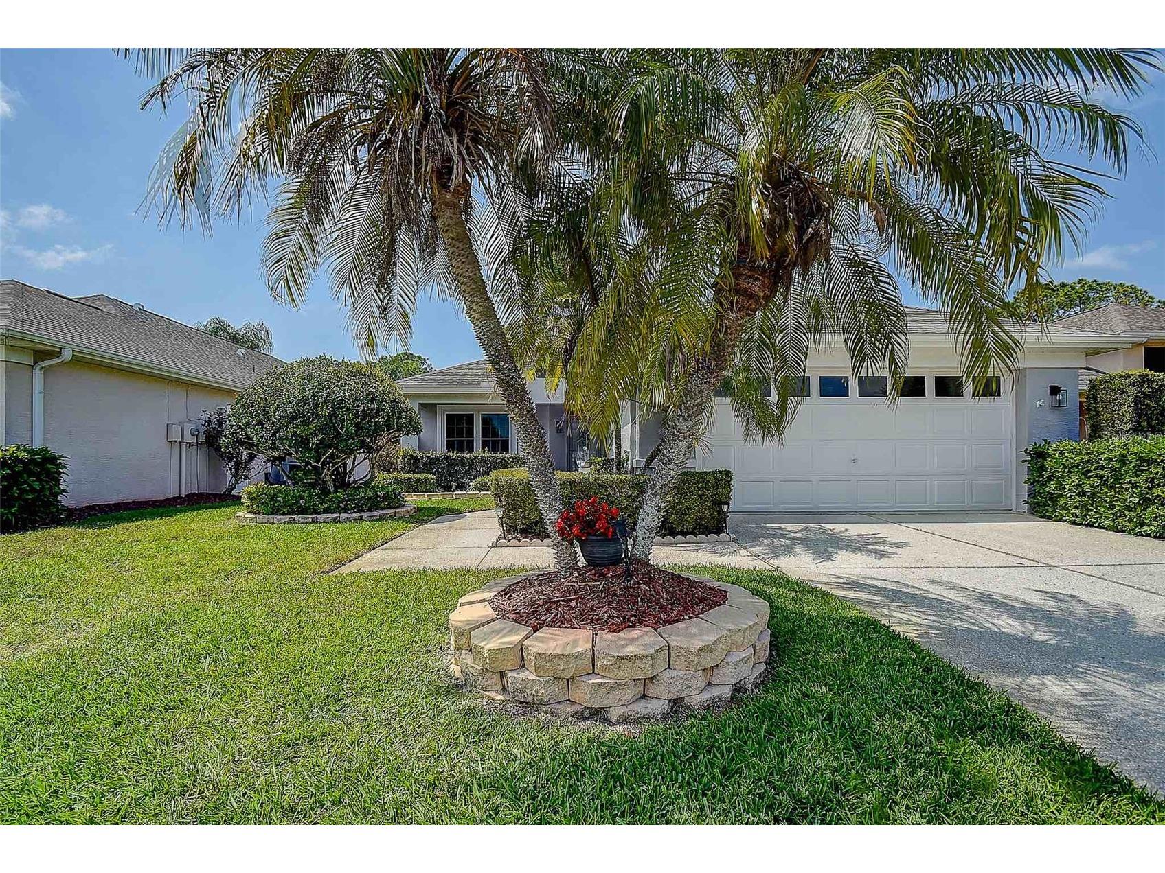 1020 Trafalgar Drive New Port Richey FL 34655 TB8490357 image4