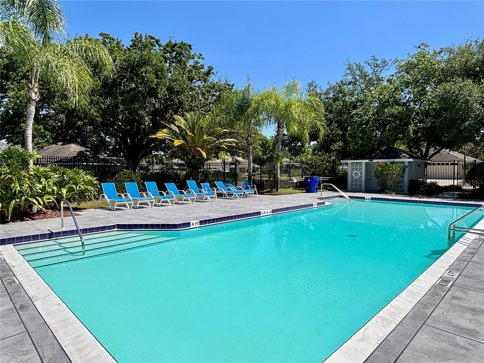 1020 Trafalgar Drive New Port Richey FL 34655 TB8490357 image40