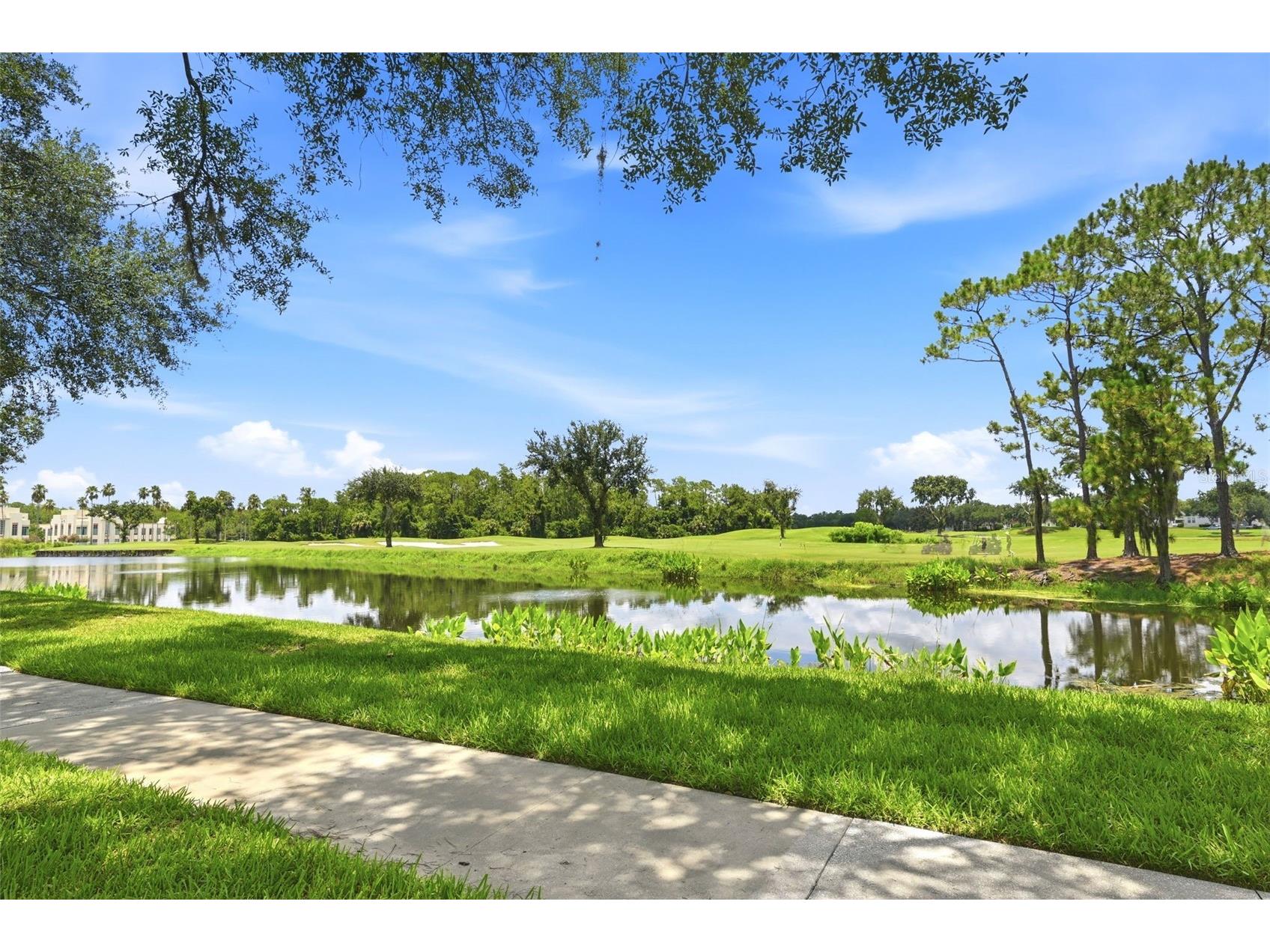 1020 Waterside Drive #1020 Celebration FL 34747 S5153304 image33