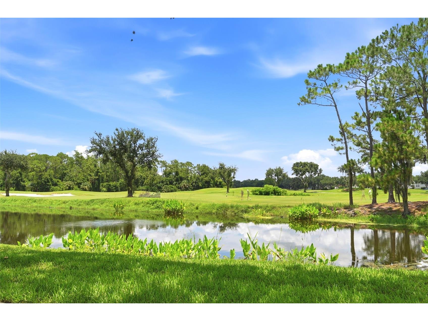 1020 Waterside Drive #1020 Celebration FL 34747 S5153304 image34