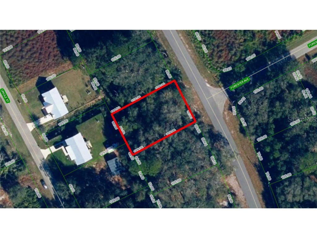 1020 Wildflower Street Lake Placid FL 33852 O6221174 image1