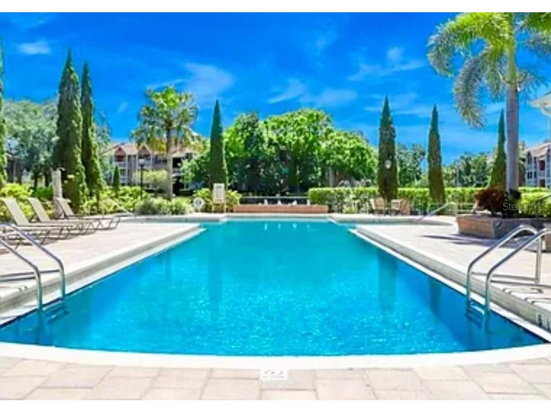 10200 Gandy Boulevard N #1120 Saint Petersburg FL 33702 TB8453007 image15