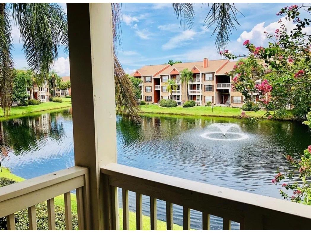 10200 Gandy Boulevard N #1120 Saint Petersburg FL 33702 TB8453007 image4