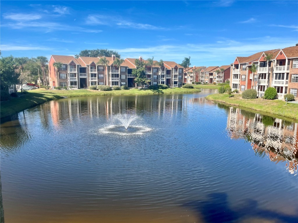 10200 Gandy Boulevard N #1123 Saint Petersburg FL 33702 TB8445716 image2