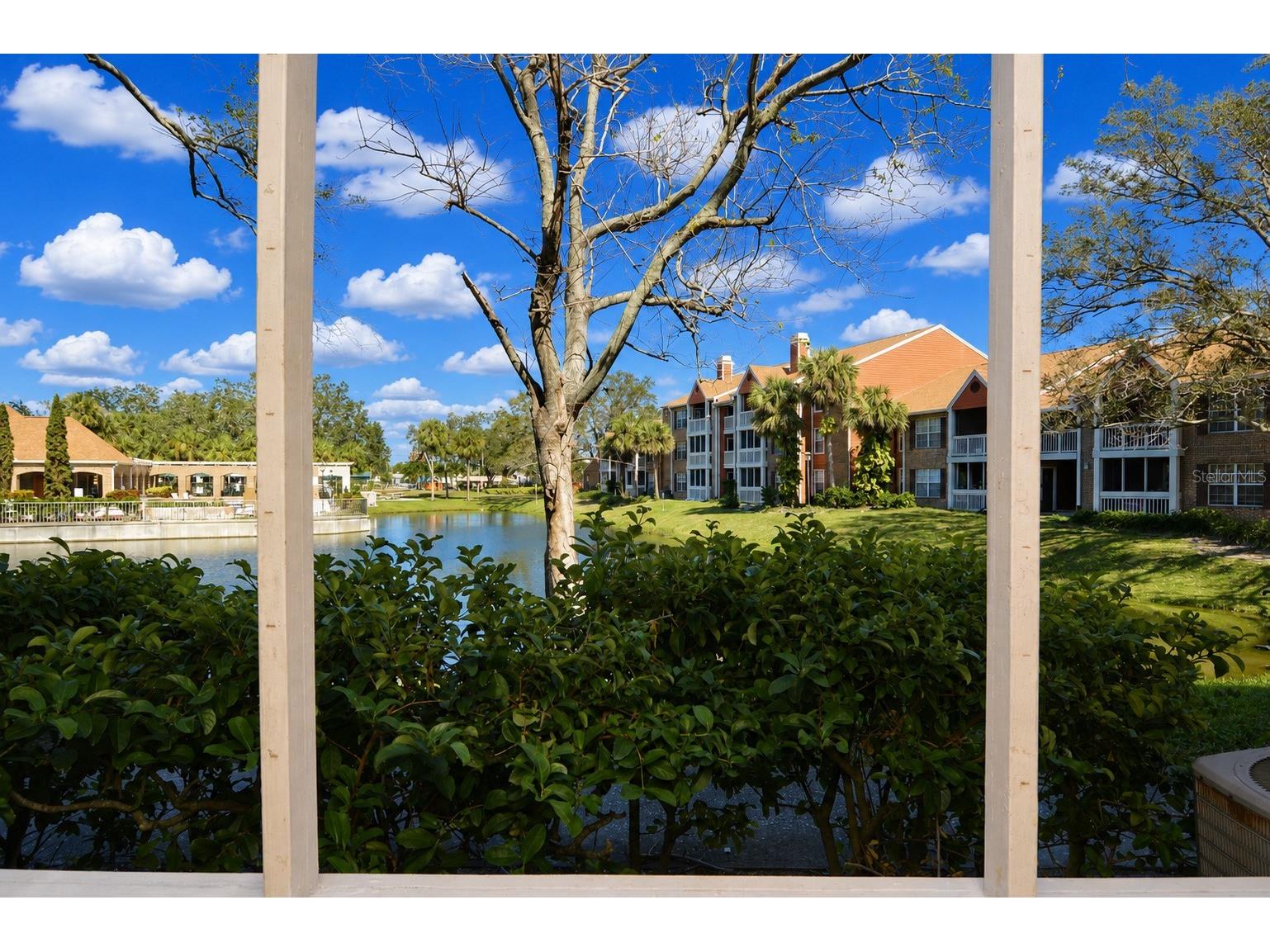 10200 Gandy Boulevard N #1225 Saint Petersburg FL 33702 TB8507259 image46