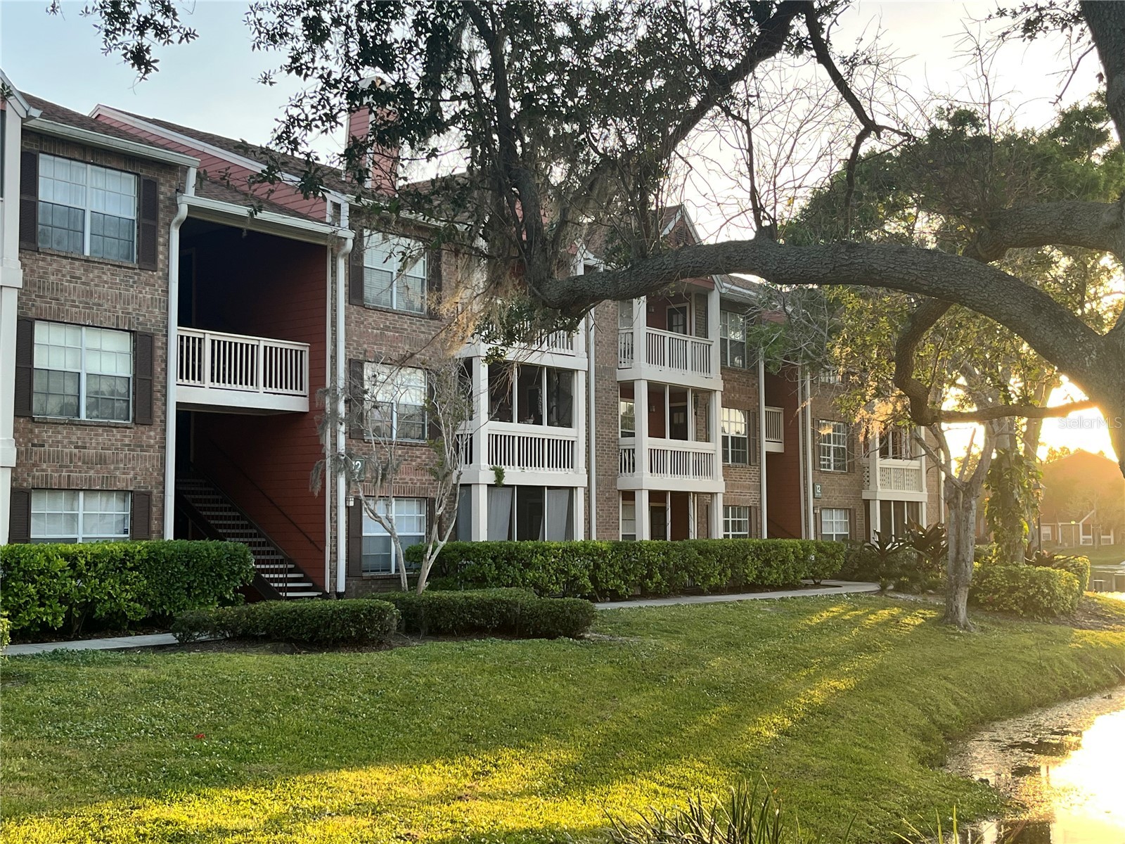 10200 Gandy Boulevard N #1229 Saint Petersburg FL 33702 TB8505958 image1