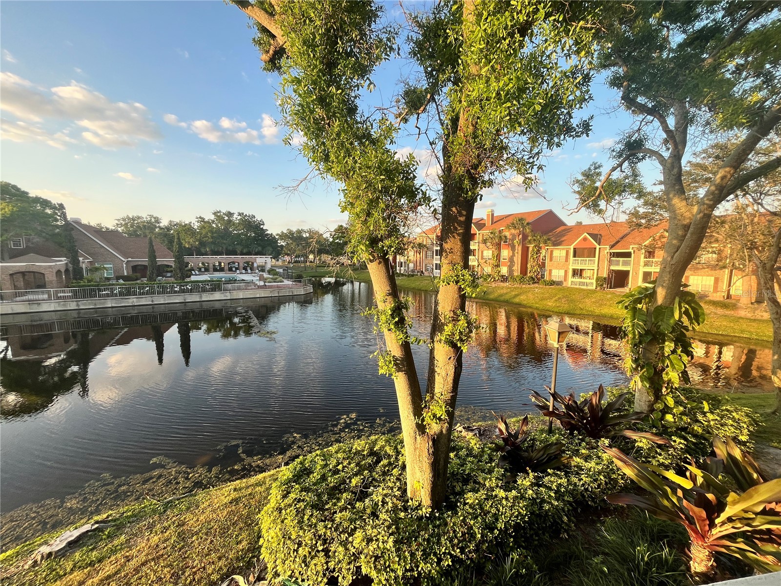 10200 Gandy Boulevard N #1229 Saint Petersburg FL 33702 TB8505958 image14