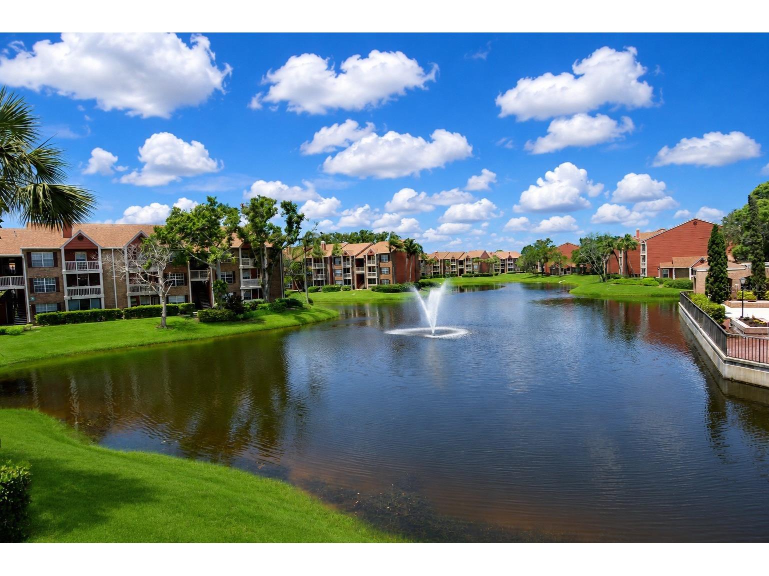 10200 Gandy Boulevard N #1313 Saint Petersburg FL 33702 TB8513017 image62