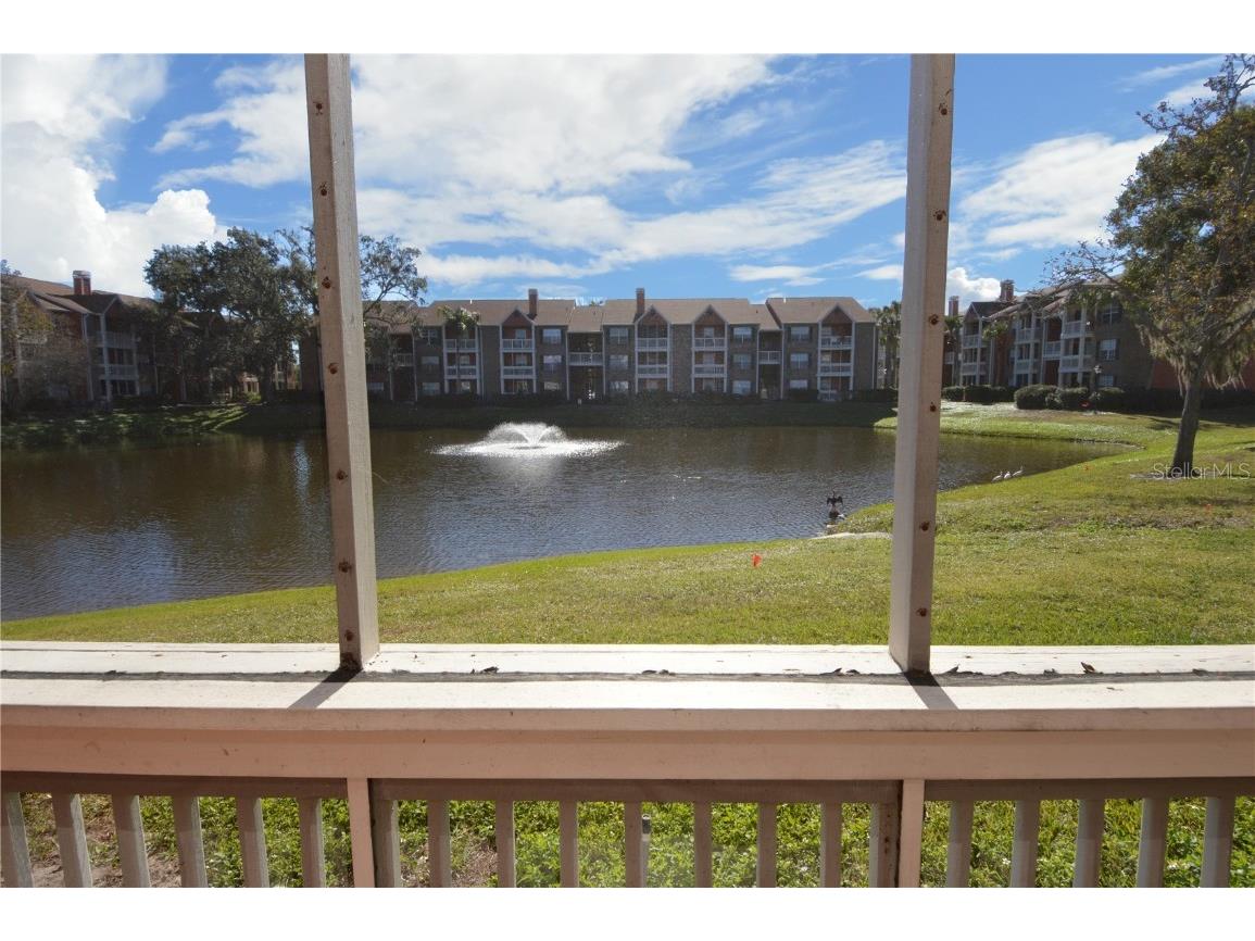 10200 Gandy Boulevard N #235 Saint Petersburg FL 33702 TB8457293 image44