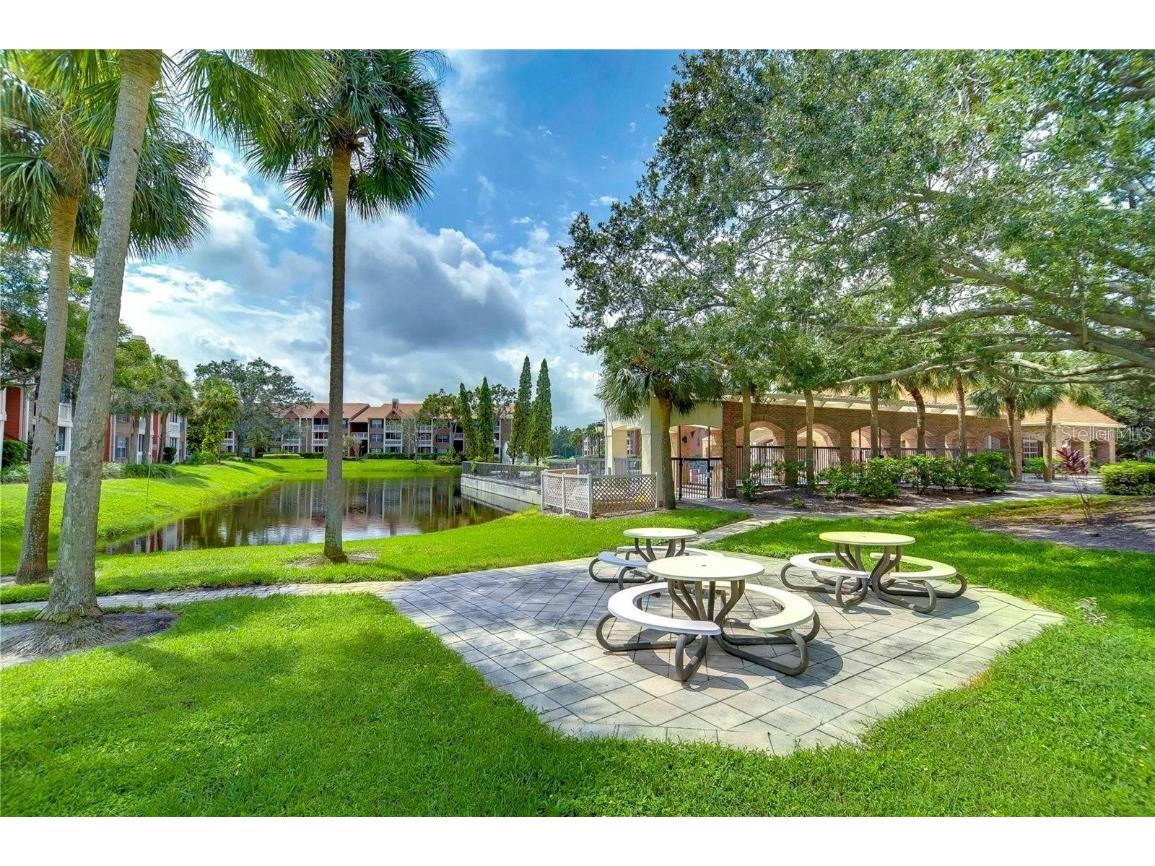 10200 Gandy Boulevard N #235 Saint Petersburg FL 33702 TB8457293 image49