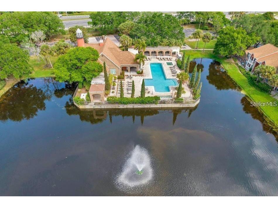 10200 Gandy Boulevard N #235 Saint Petersburg FL 33702 TB8457293 image56