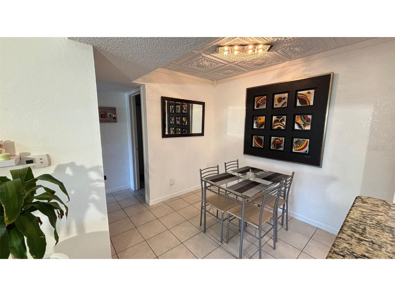 10200 Gandy Boulevard N #515(FURNISHED) Saint Petersburg FL 33702 TB8426135 image8