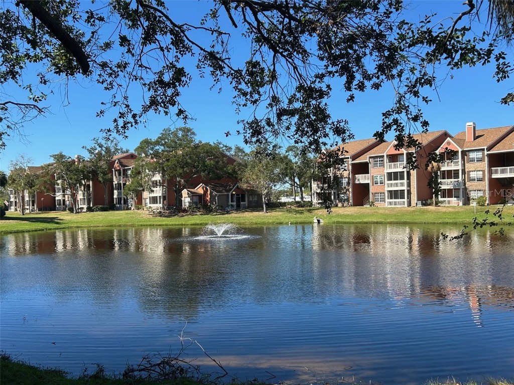 10200 Gandy Boulevard N #921 Saint Petersburg FL 33702 TB8321864 image1