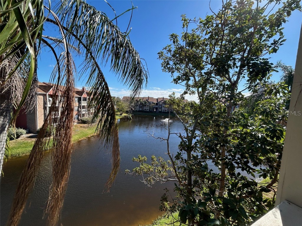 10200 Gandy Boulevard N #921 Saint Petersburg FL 33702 TB8321864 image23