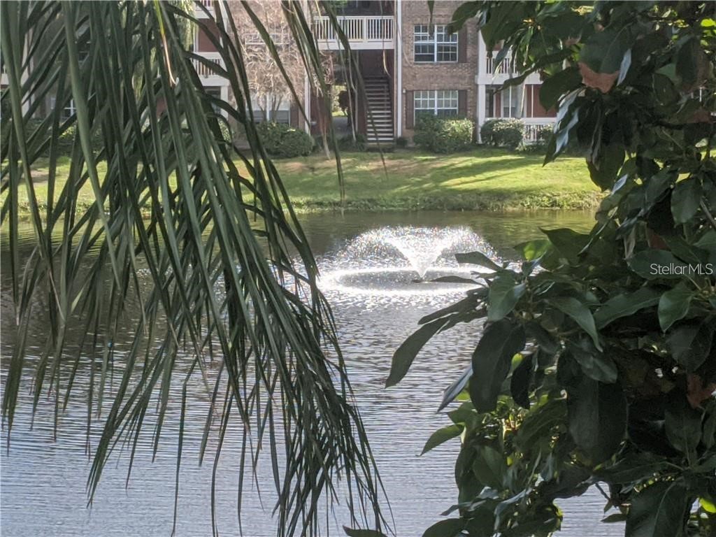 10200 Gandy Boulevard N #921 Saint Petersburg FL 33702 TB8321864 image25